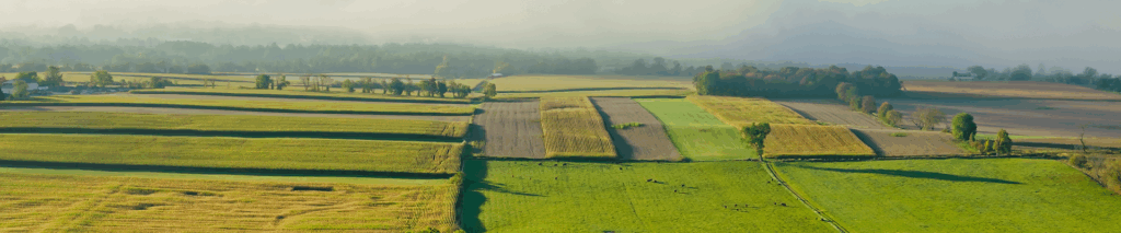 Aerial view of lush, patchwork farmland.